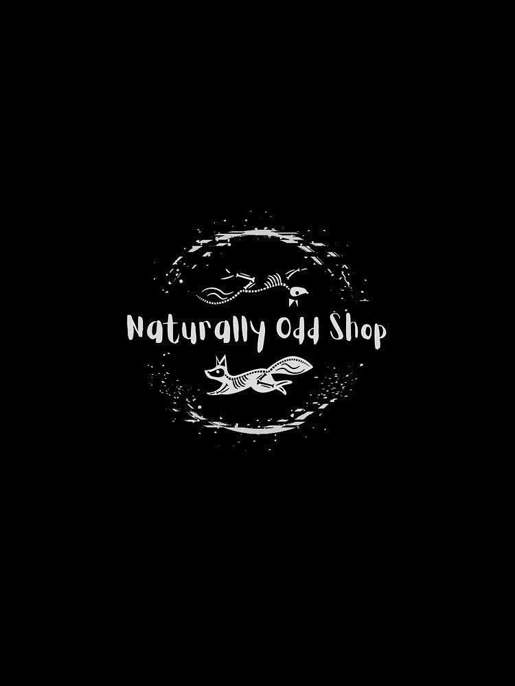 Naturally Odd Shop Logo by NOddShop