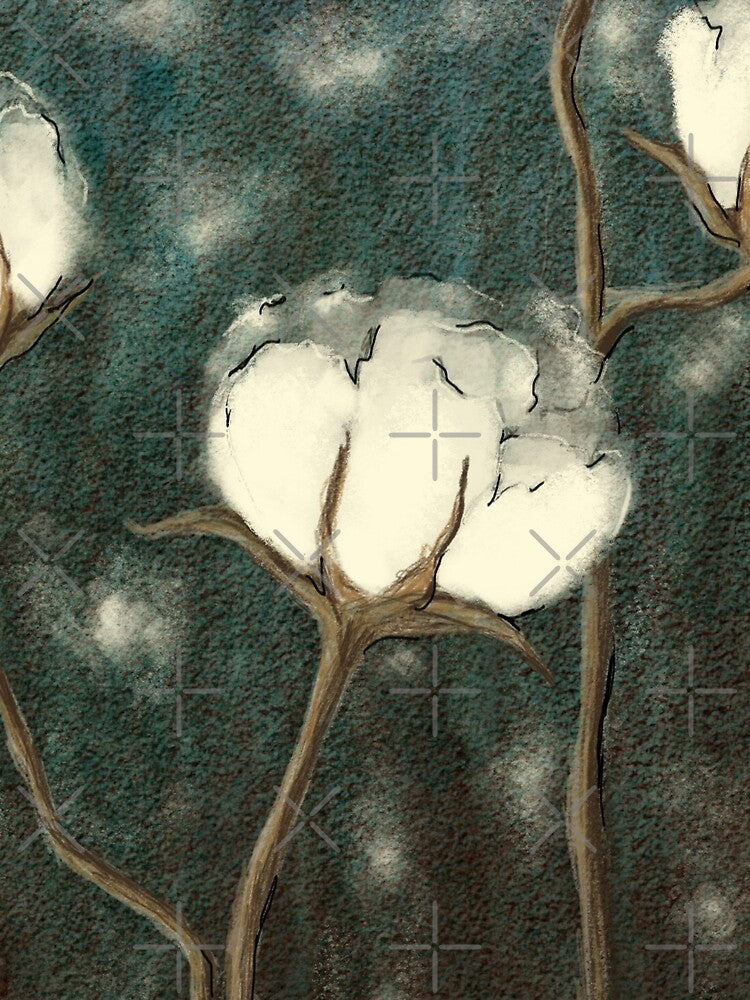Cotton flowers sepia by R. Leon | Aurora & Douglas