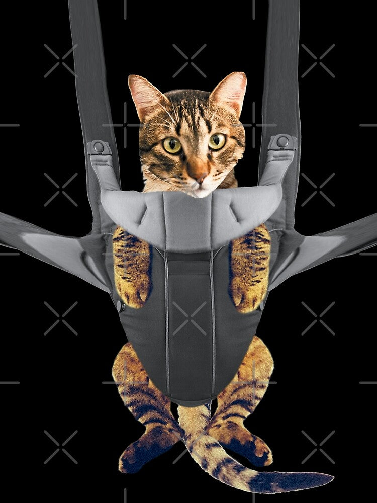 Cat in a Baby Carrier by Del0860