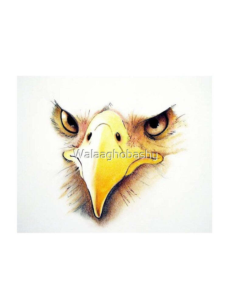 falcon eyes by Walaaghobashy
