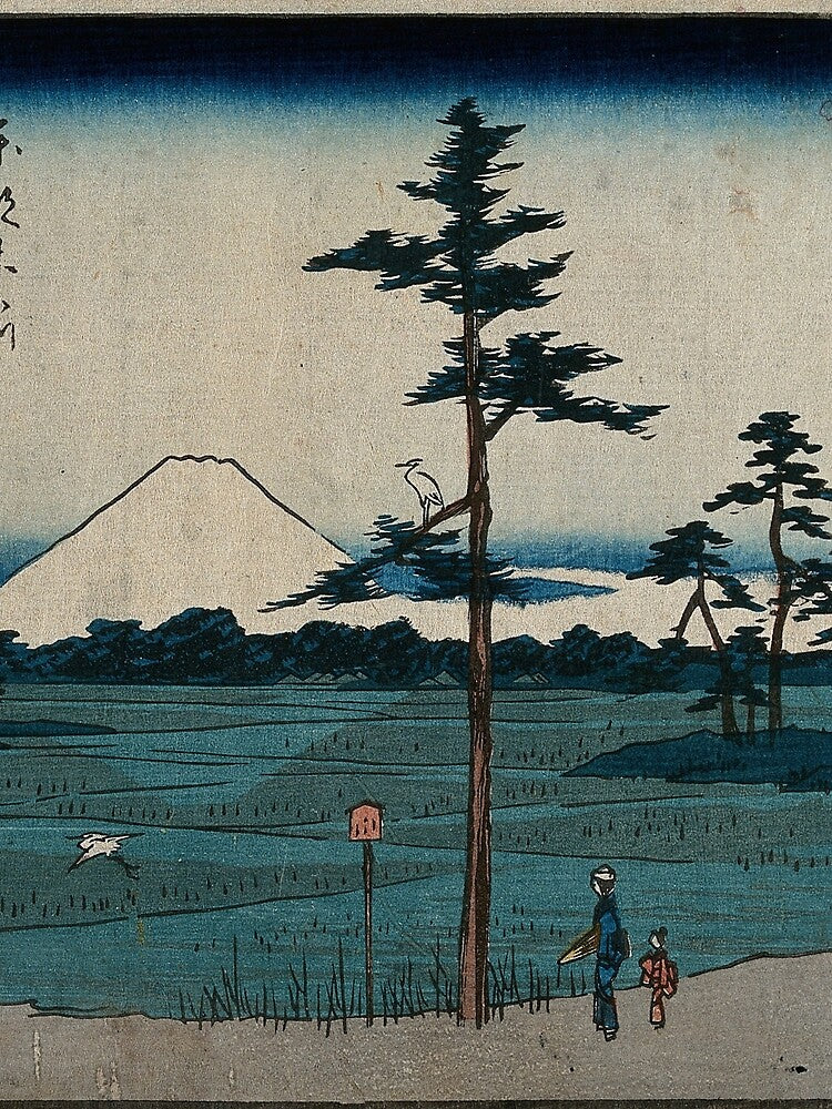 Hiroshige's Field in Kinegawa by mosfunky