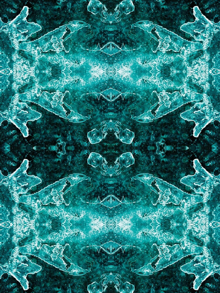 Ice Ice Magic # 2 by Psilographics