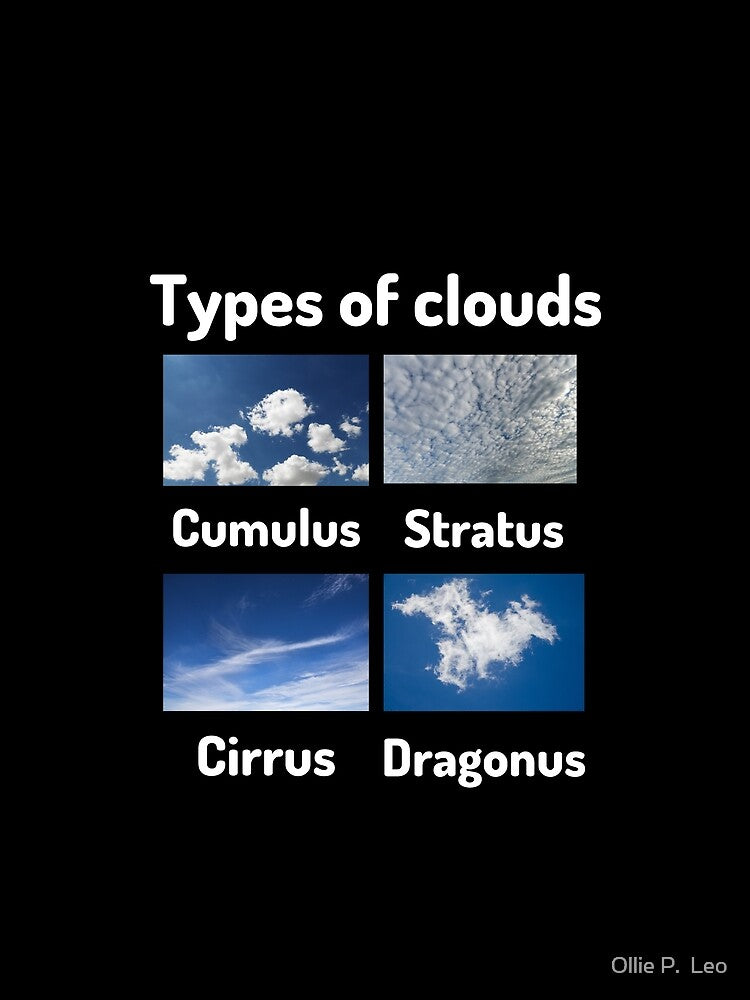Types of clouds (cumulus, stratus, cirrus, dragonus) by Ollie P.  Leo