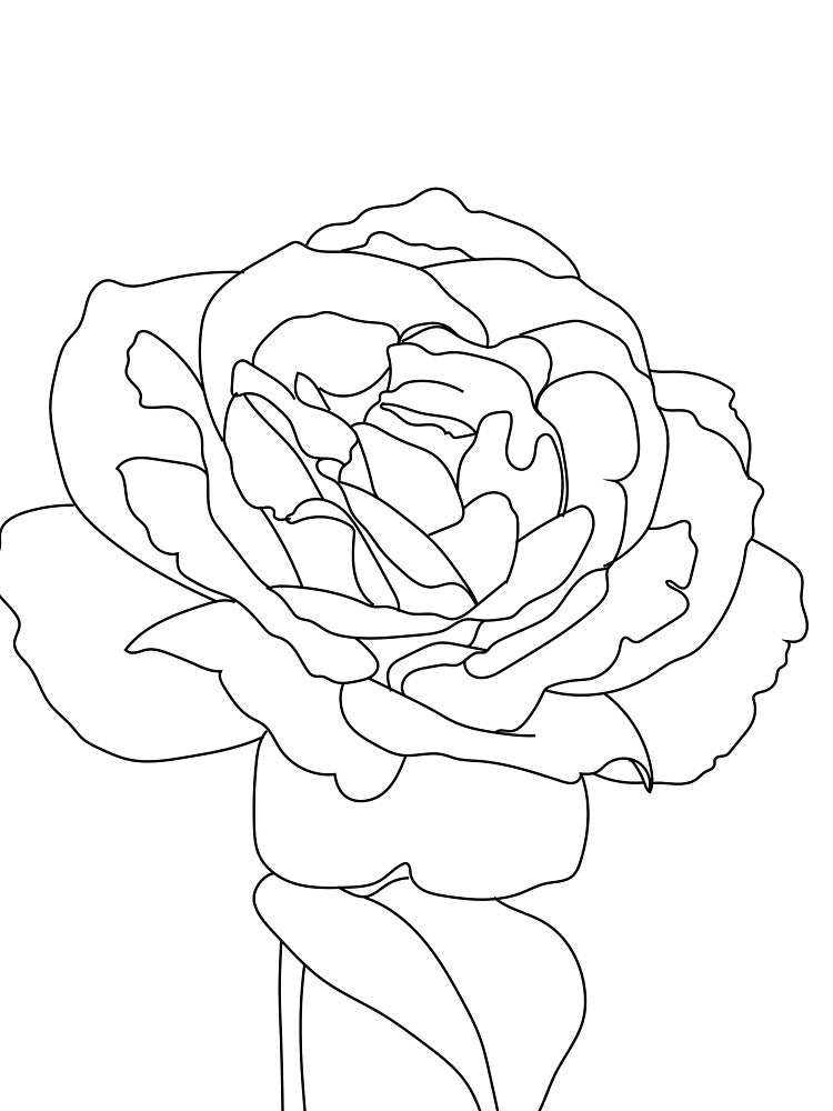 Peony White by MinimalStudio