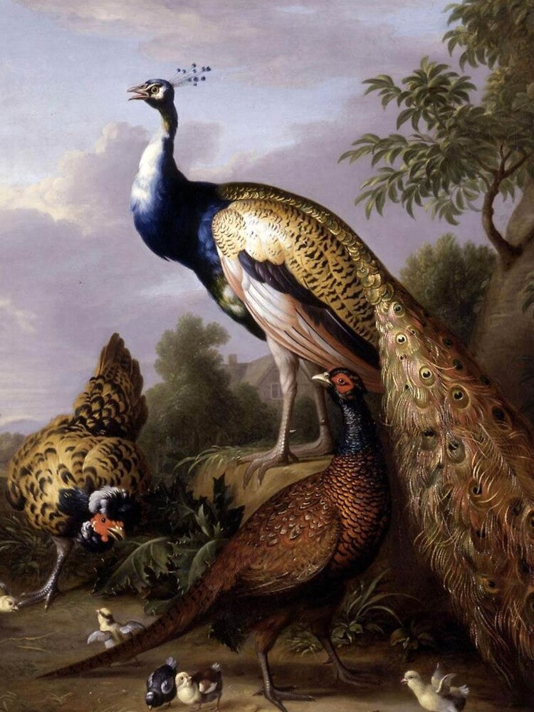 Tobias Stranover's Peacock, Hen and Cock Pheasant in a Landscape by mosfunky