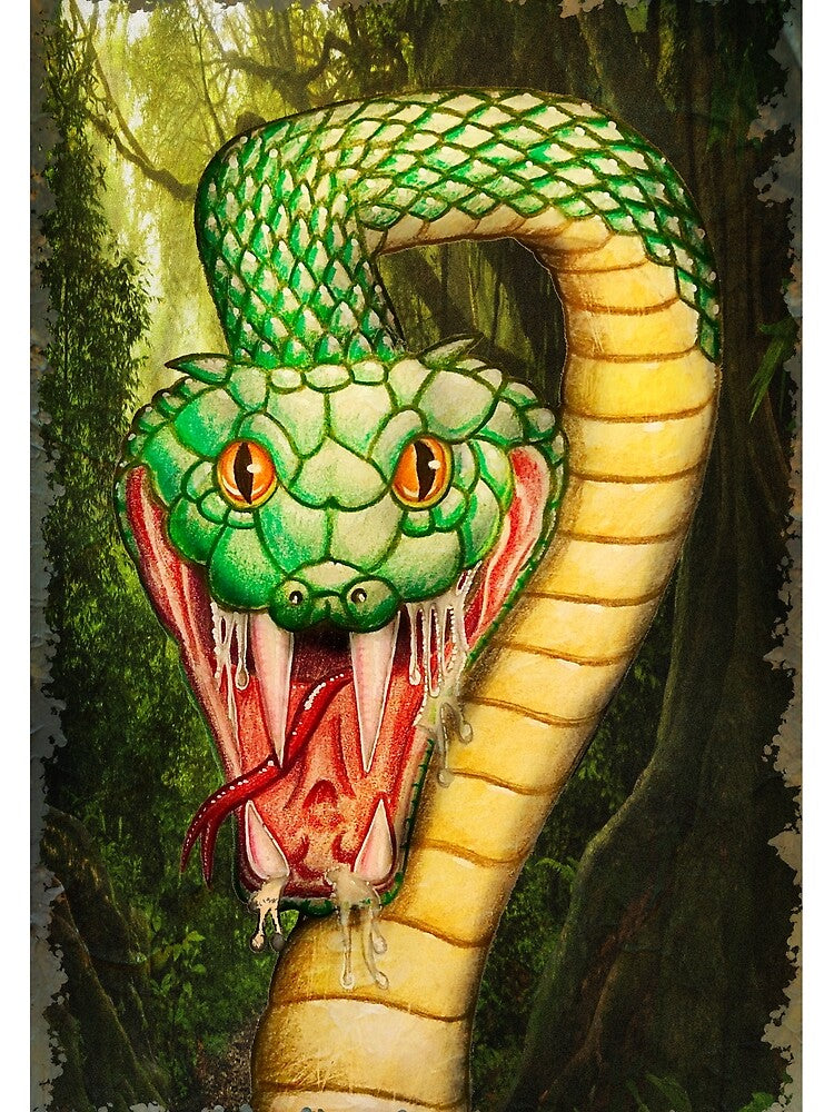 Snake in the amazon by Majicgifts