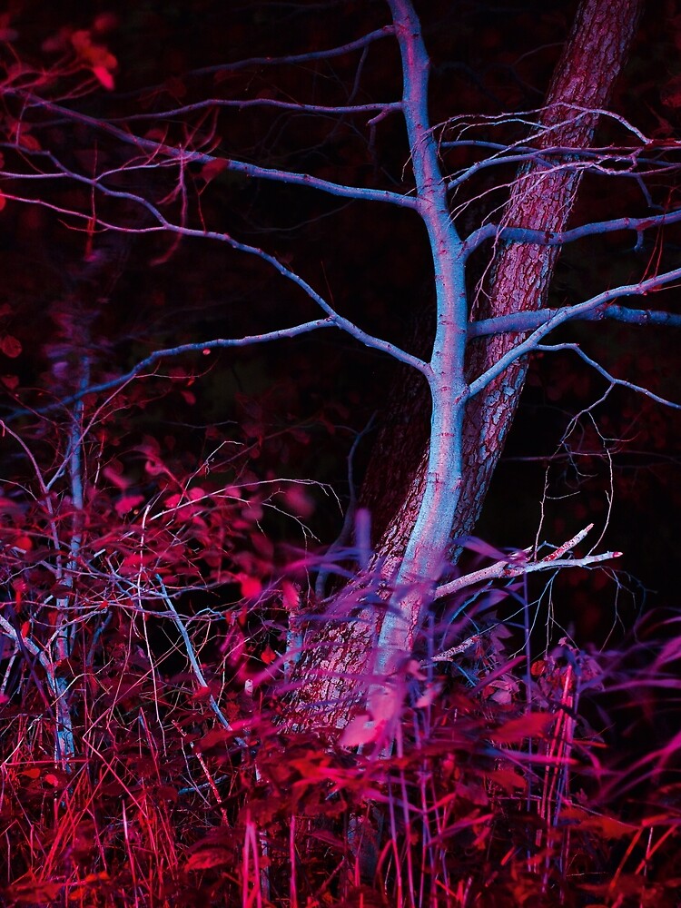 UV landscape II by Psilographics