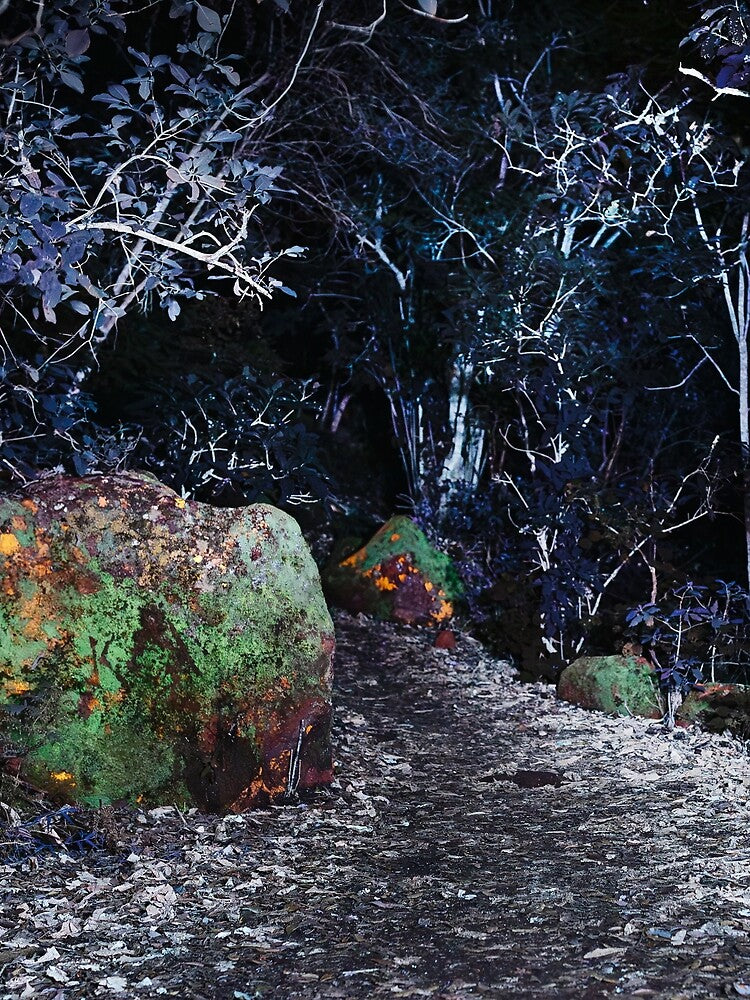 UV Landscape V by Psilographics