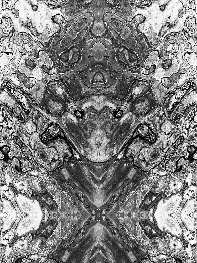 Reflection with alien in black and white by Psilographics