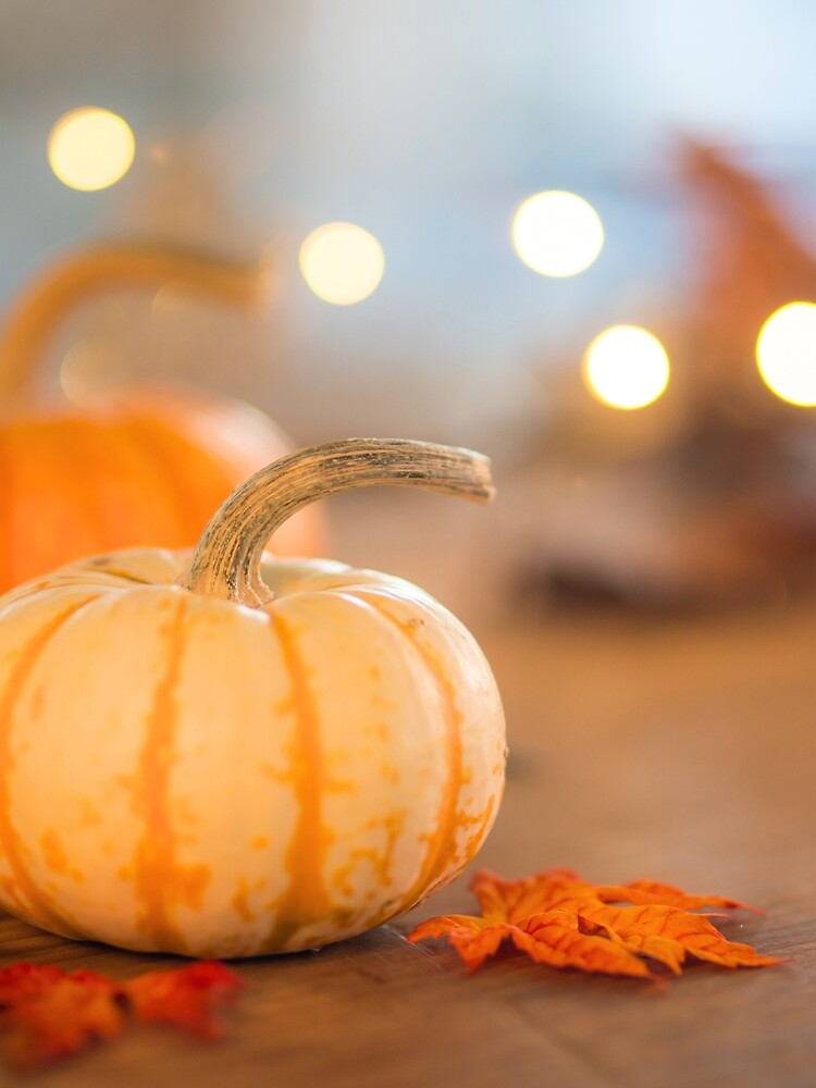 pumpkin by oceandesignsfx