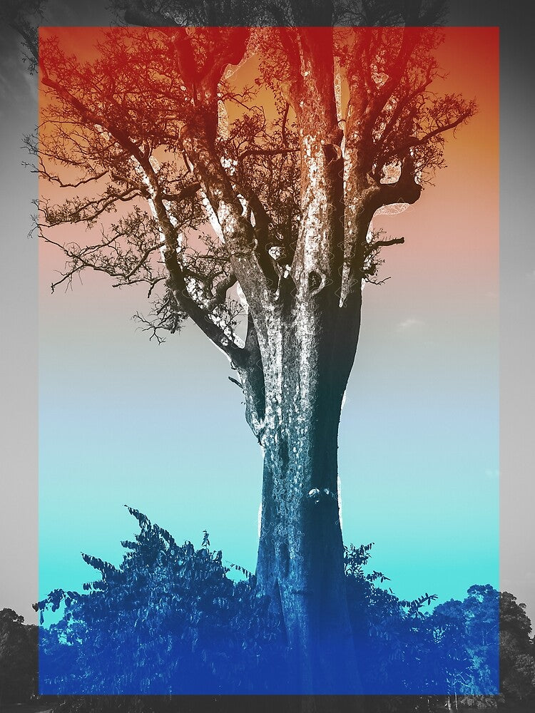 Color Trees by caelinsutch