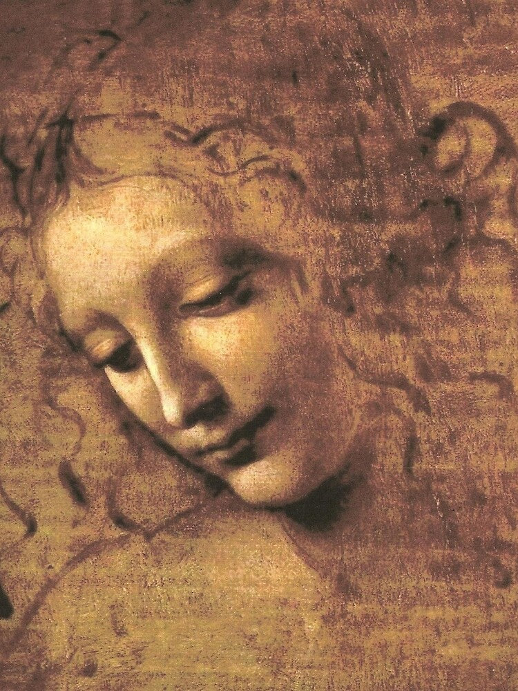 Leonardo Da Vinci's Head of a Woman by mosfunky