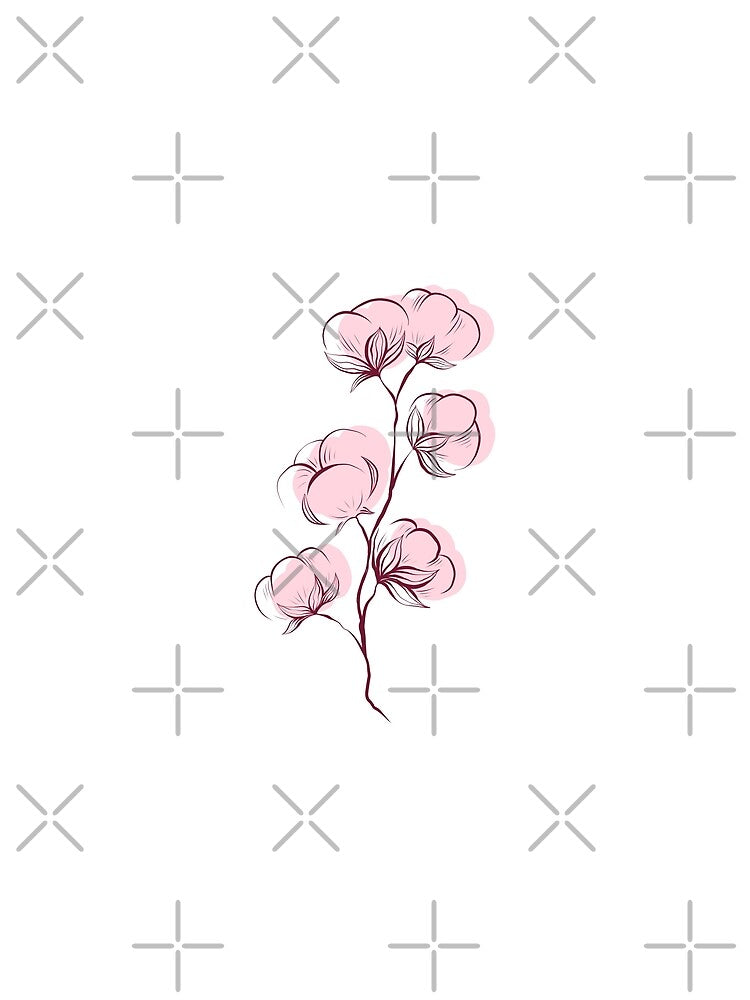 Sketch of cotton plant by Veleri
