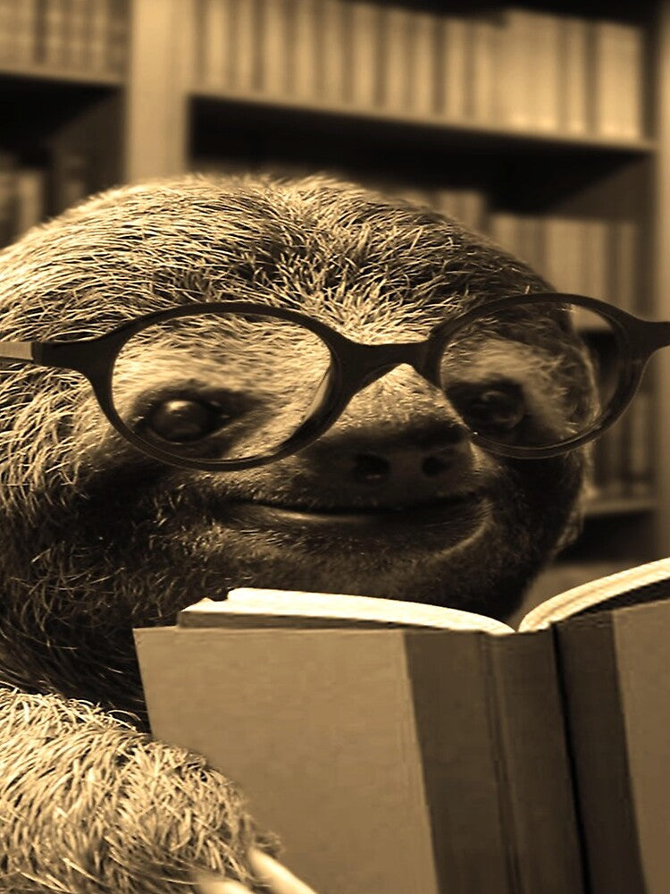 Baby Sloth Reading Book Cute Nerd Geek Animal Lover Dork Case, Top Selling, Best Arts, Trending, Redbubble, Etsy, Ebay, Amazon, Tiktok by alkamhfashion