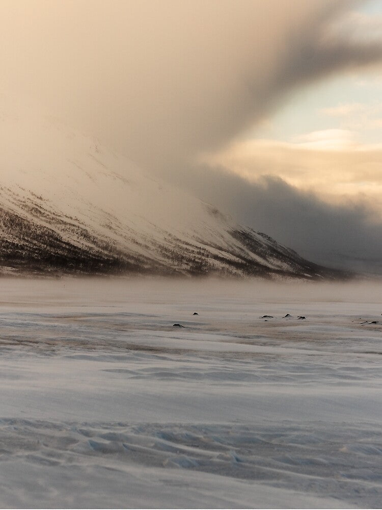 Frozen Lake II by Psilographics