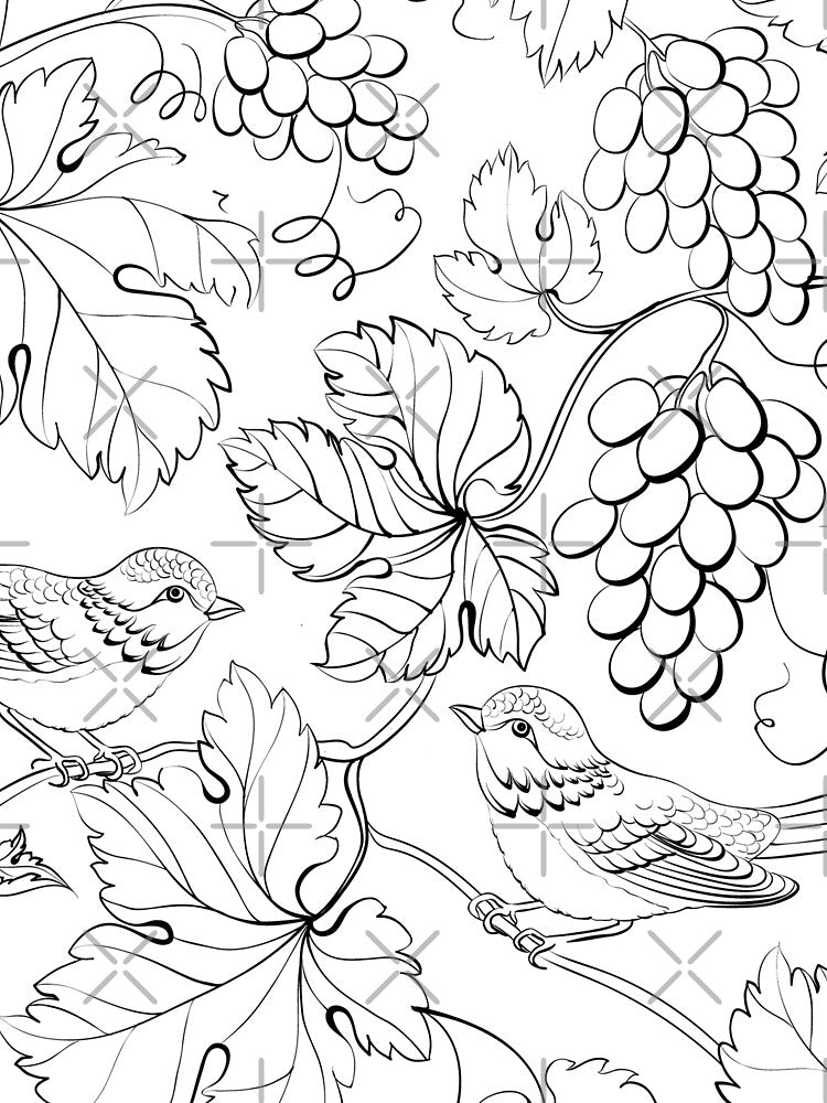 minimal black and white birds by haroulita