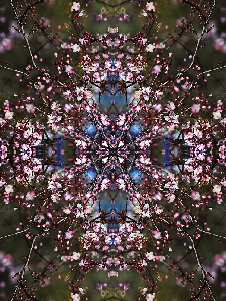Pink cherry blossom magic by Psilographics