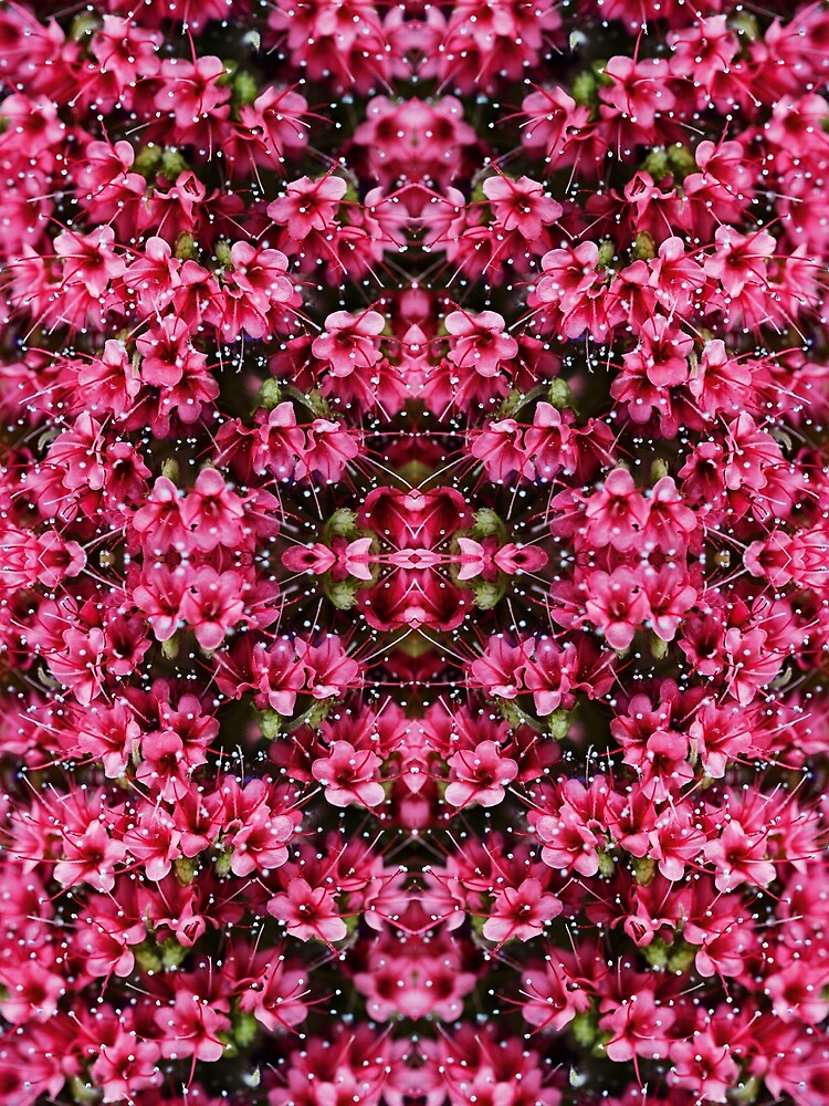 Magical pink flowers by Psilographics