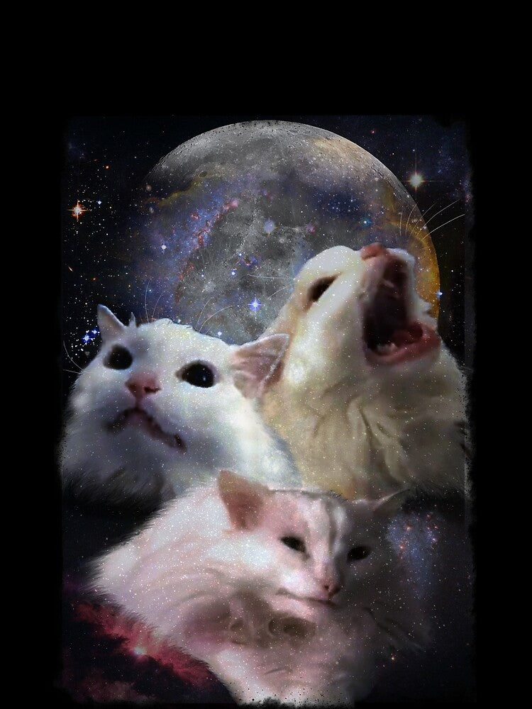 Triple Thurston Moon Cats! by Thurstonwaffles