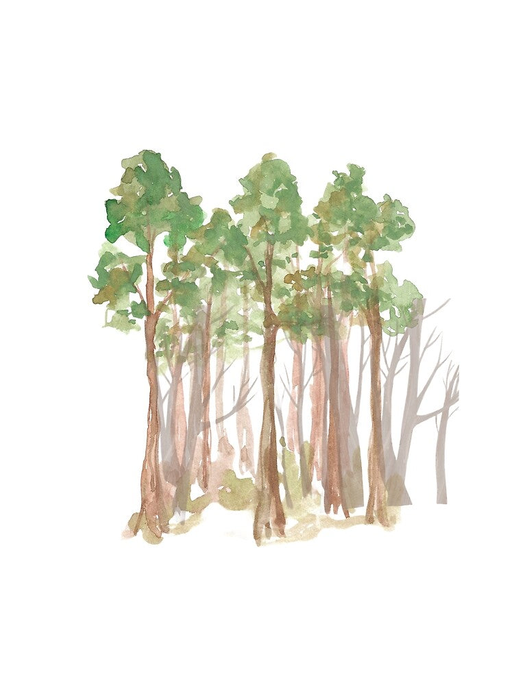 Sunrise Forest Graphic Tee by Fashionboost