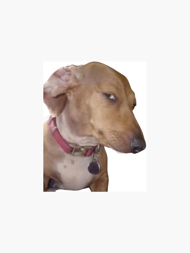 Side eye dog meme by Pixel  Pulse
