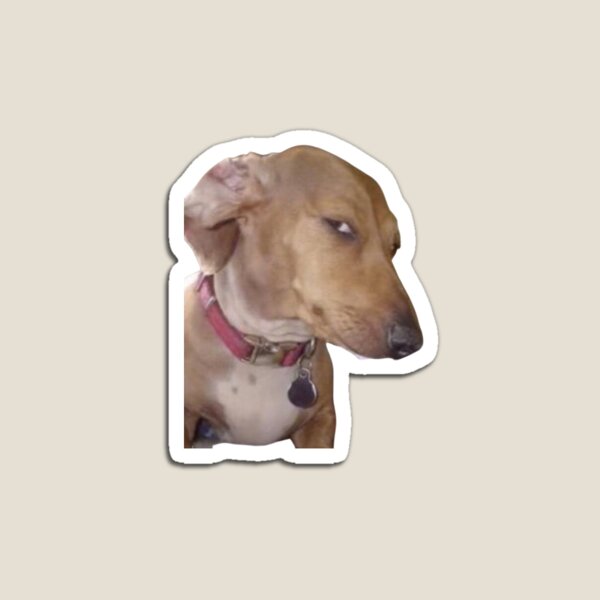 Side eye dog meme by Pixel  Pulse