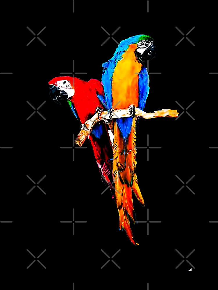 Amazonia Macaw - Brazilian Birds by oluap