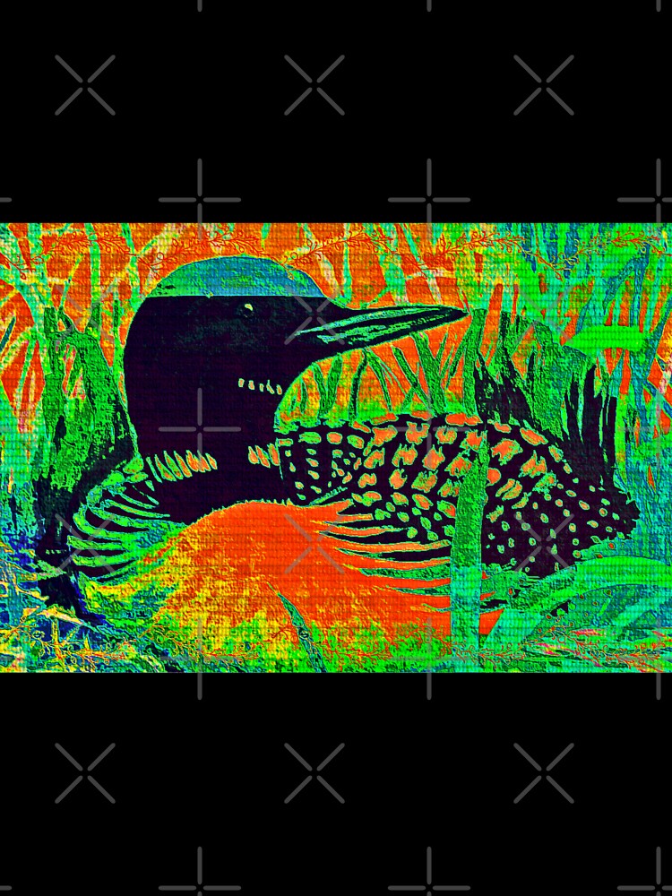 Colorful Loon Canadiana contemporary art by Aquila Light Pictures