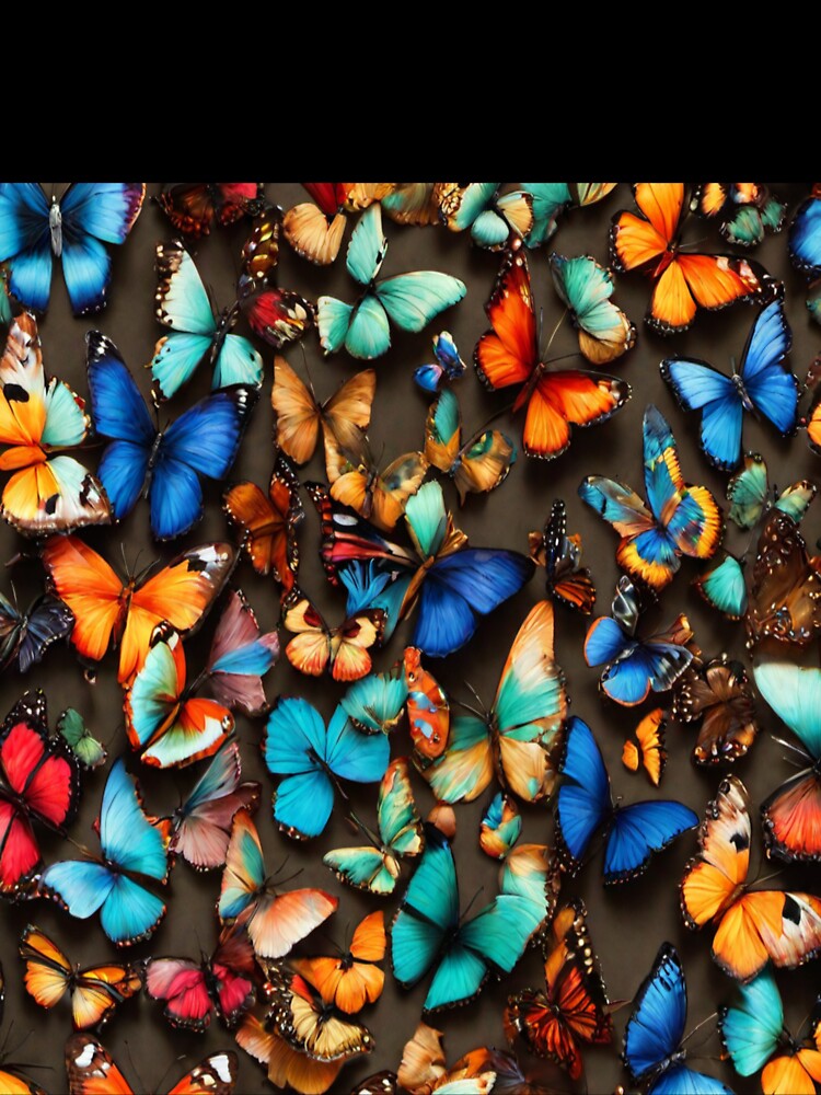 multi color butterfly texture pattern by Md Rashid  Hasan