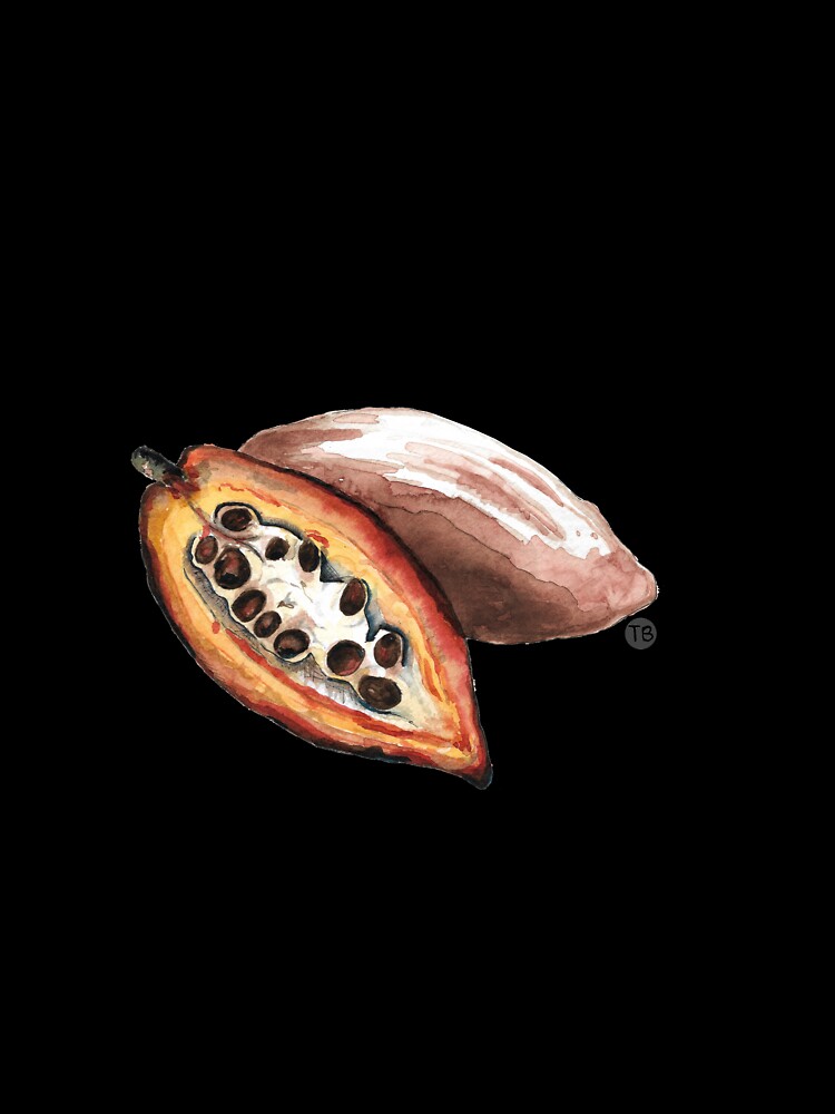 Chocolate Cacao Fruit by Little Treats