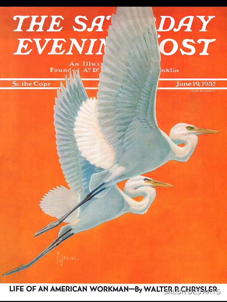 The Saturday Evening Post (1937) - Francis Lee Jaques by SALON DES ARTS