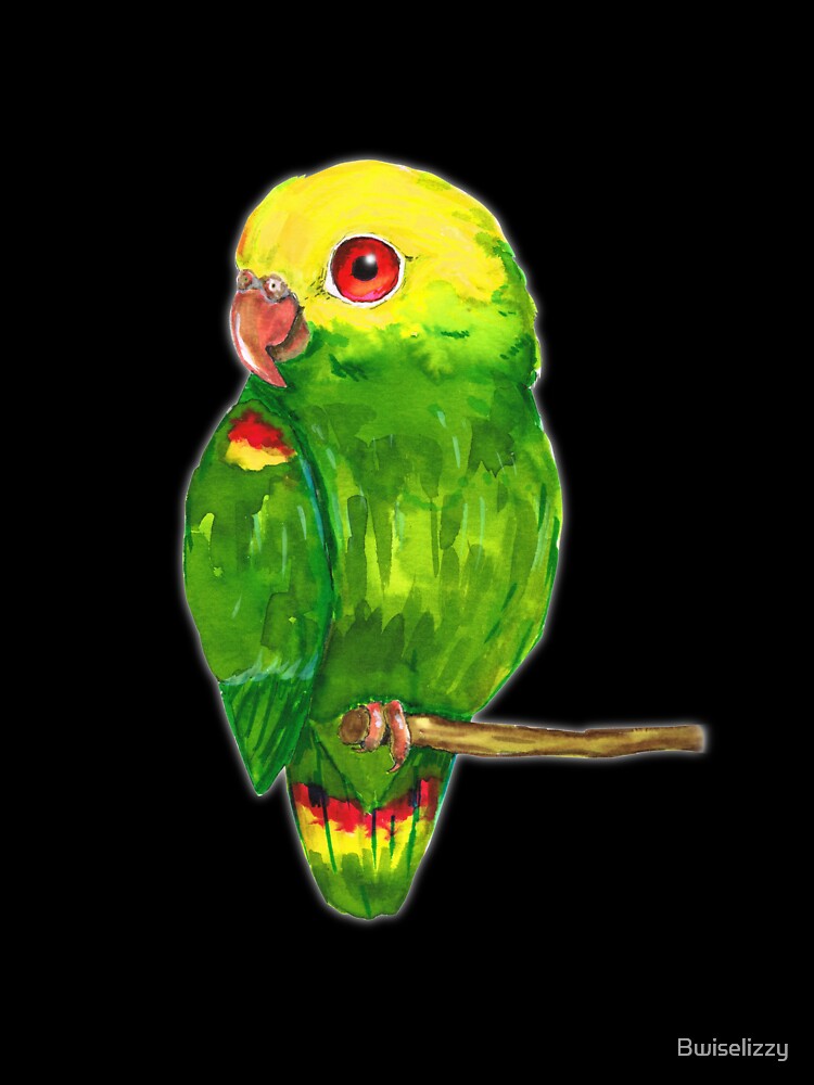 Yellow headed amazon parrot by Bwiselizzy