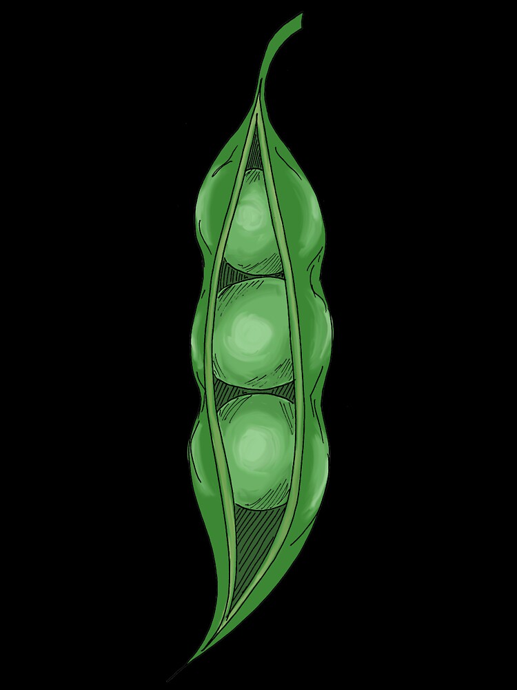 Peas in a Pod by Salt & Keep