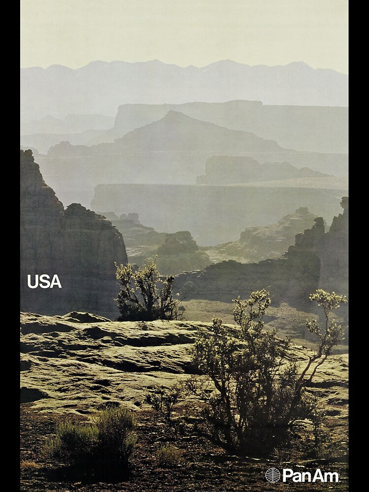 USA Vintage airline poster by AirlineBoutique