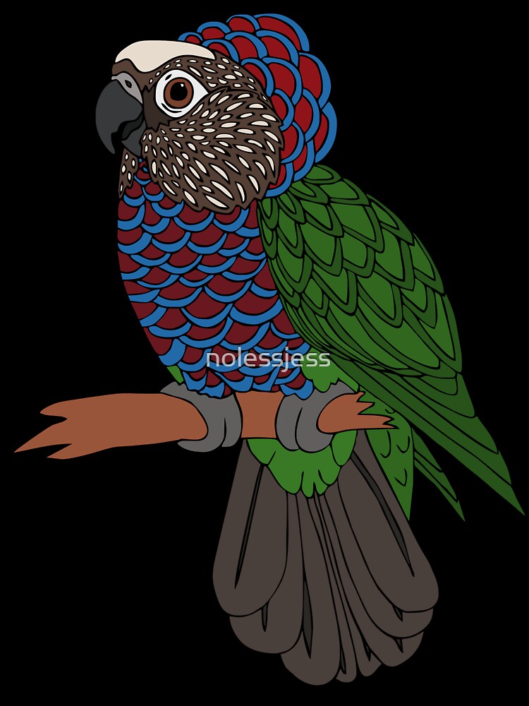 Fan-Headed Parrot by nolessjess