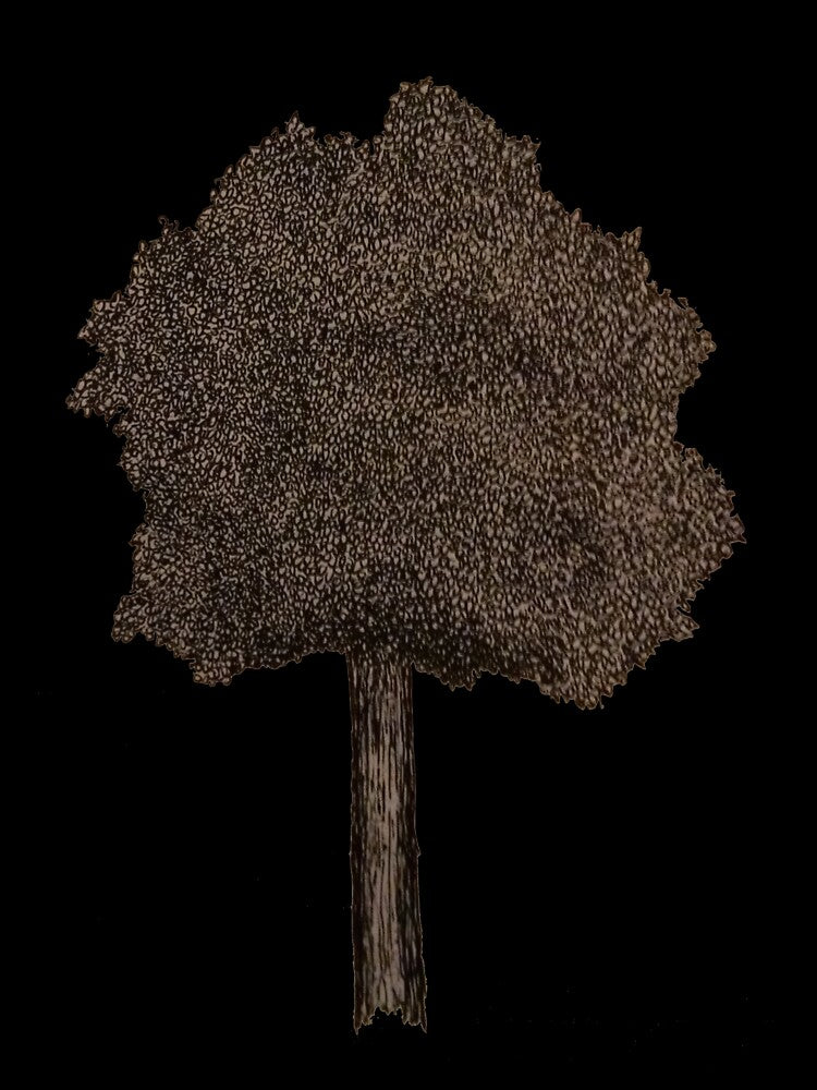 ZD Tree 3 by zdownes11