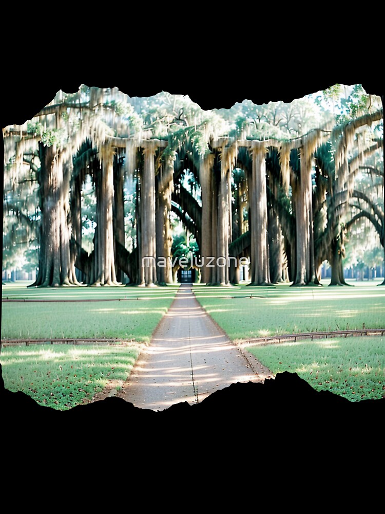 LOUISIANA 24 2 by maveluzone