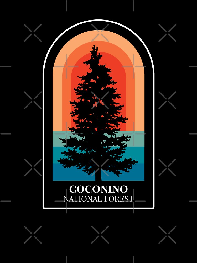 Coconino National Forest Nature Hiking Outdoors by toutwearapparel