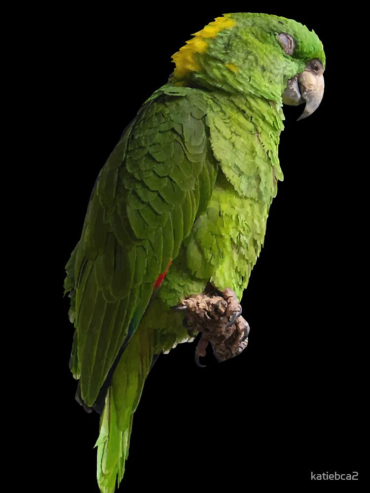 Cute Amazon Parrot by katiebca2