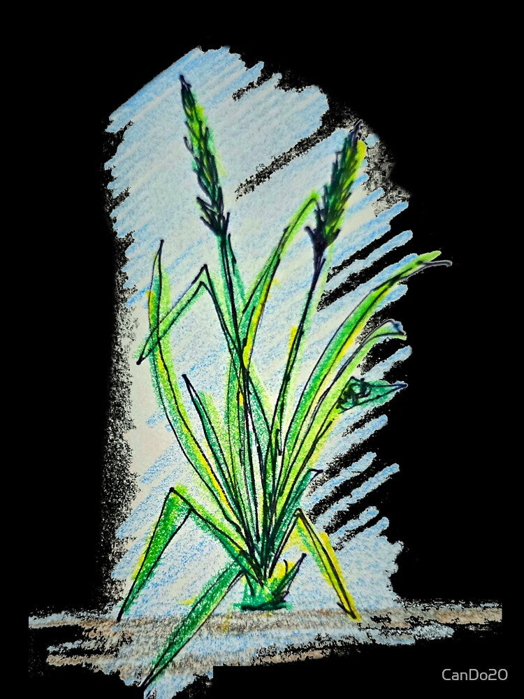 Grass by CanDo20
