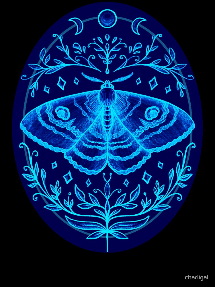 Bogong Moth by charligal