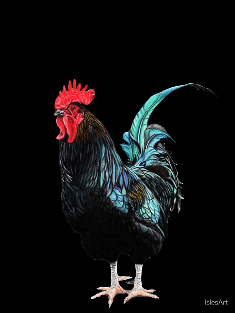 Happy Father's Day Cockerel by IslesArt