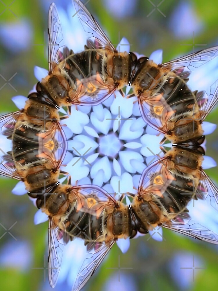 27 Kaleidoscope Bees Forming a Floral Mandala Design by POETTICA