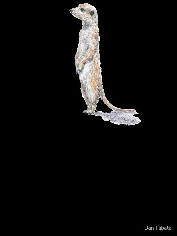 Meerkat by Dan Tabata