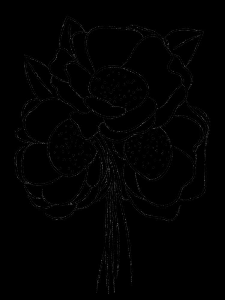 Flower line art 1 by MinimalStudio