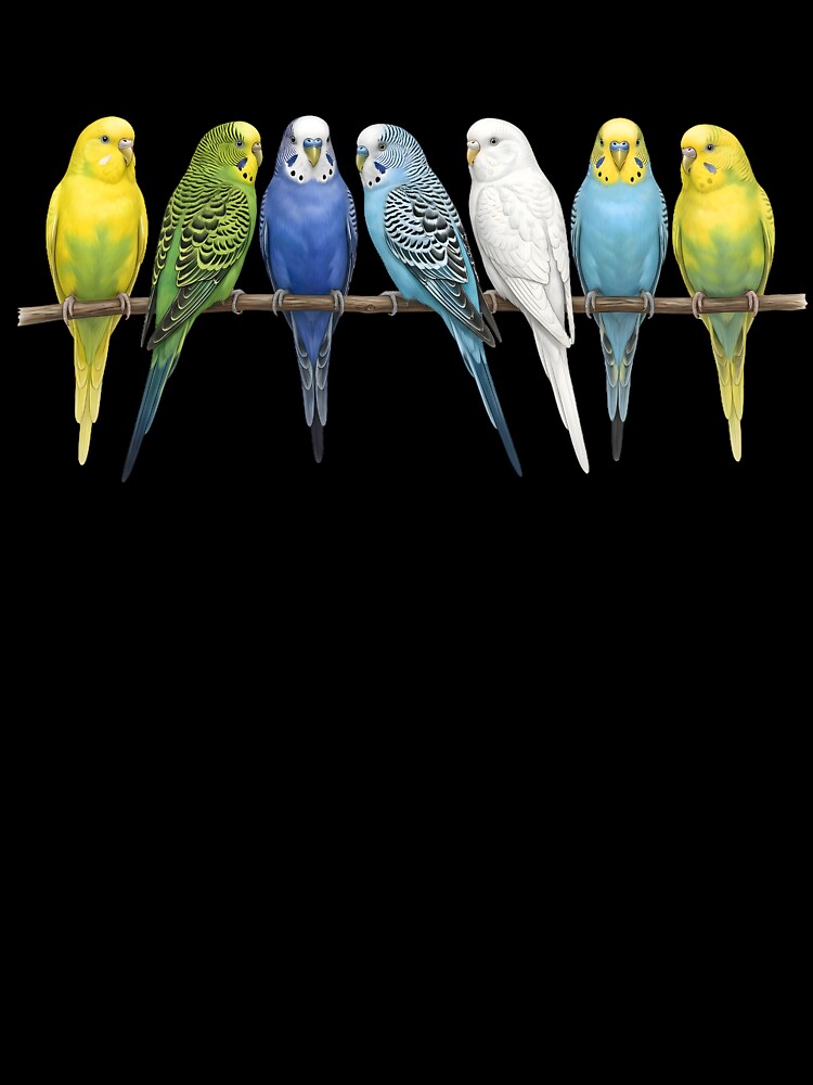 Funny Colorful Budgerigar Parrots Bird Lover by DoodleTortle