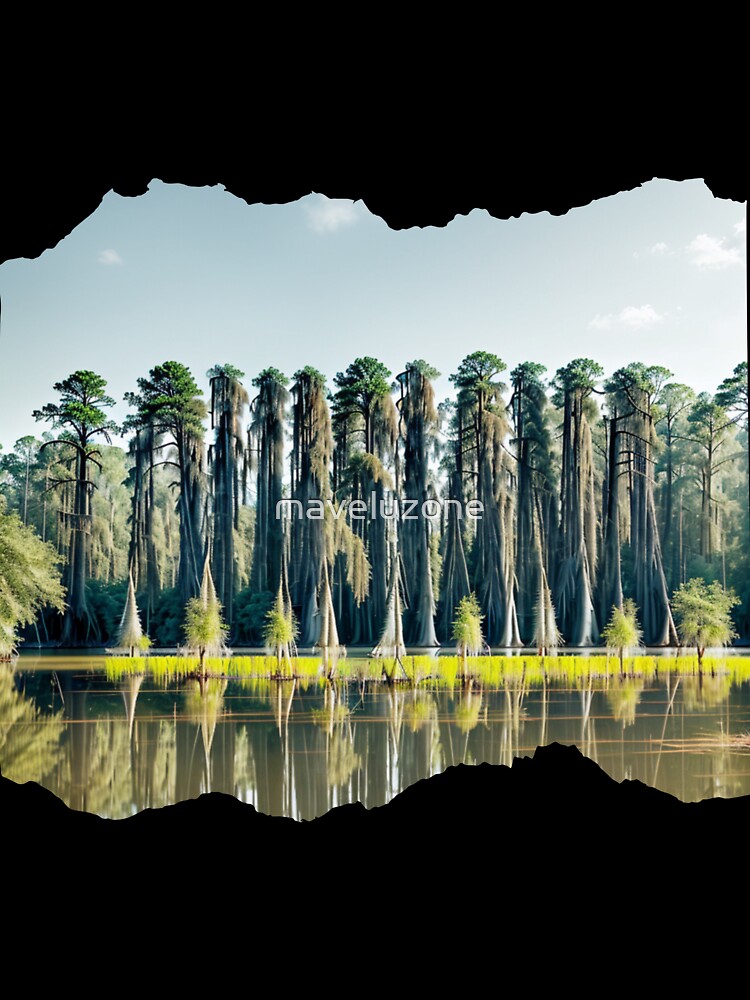 LOUISIANA 24 20 by maveluzone
