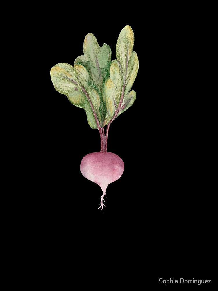 Radish by Sophia Dominguez