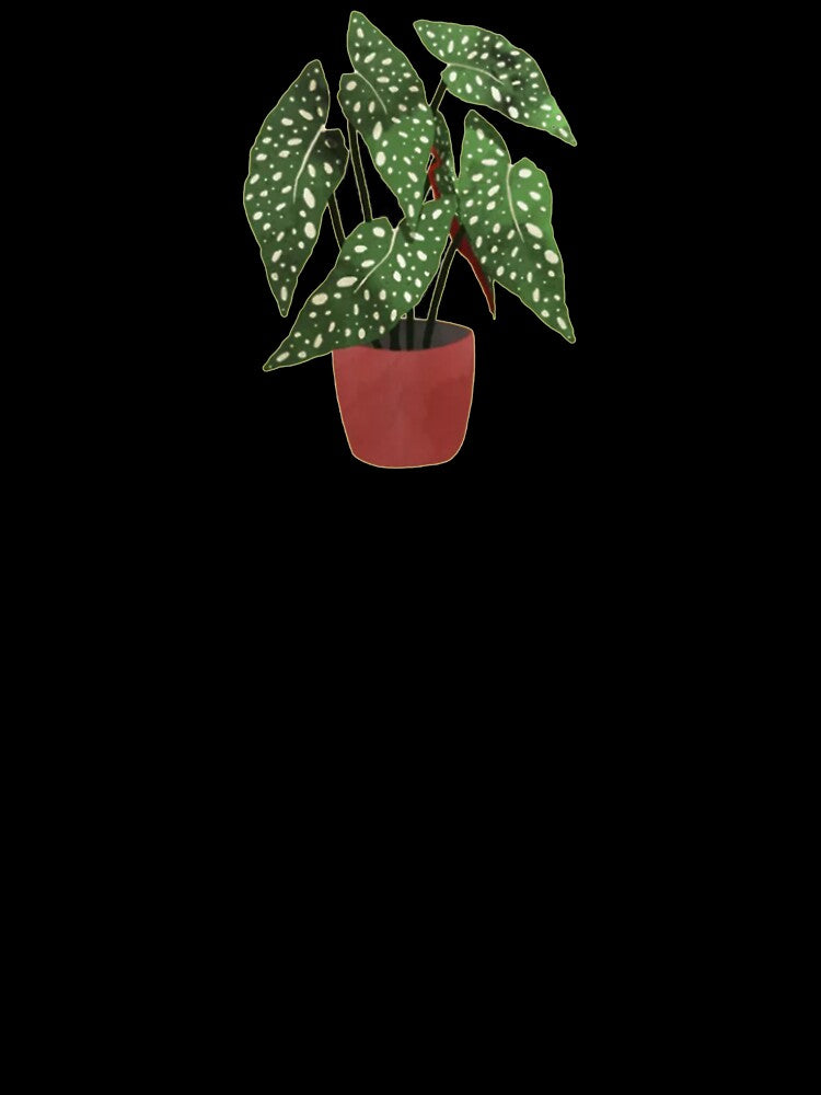 Begonia maculata pot watercolor by SvenNacht