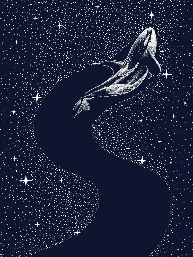 starry orca by AlirizaCAKIR